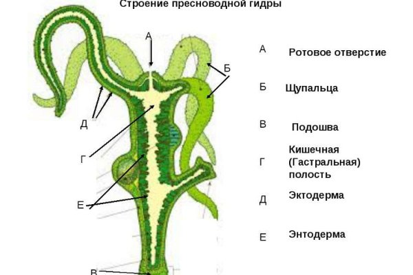 Кракен ссылка что это