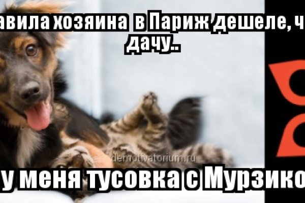 Гидра альтернатива